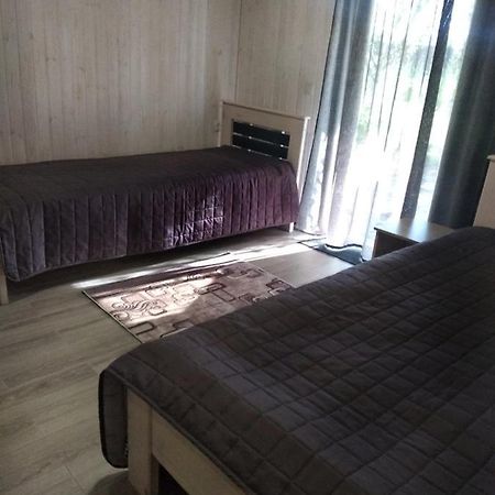 Nikol Ξενοδοχείο Svityaz' Εξωτερικό φωτογραφία