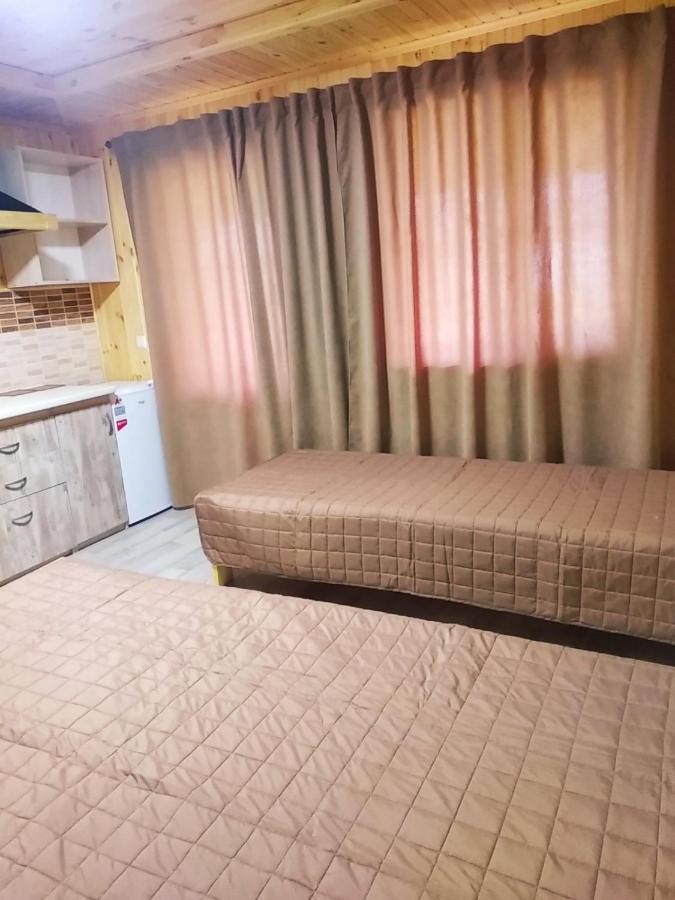 Nikol Ξενοδοχείο Svityaz' Εξωτερικό φωτογραφία